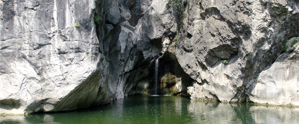 izvor rijecine