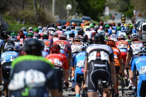 peloton_2-web