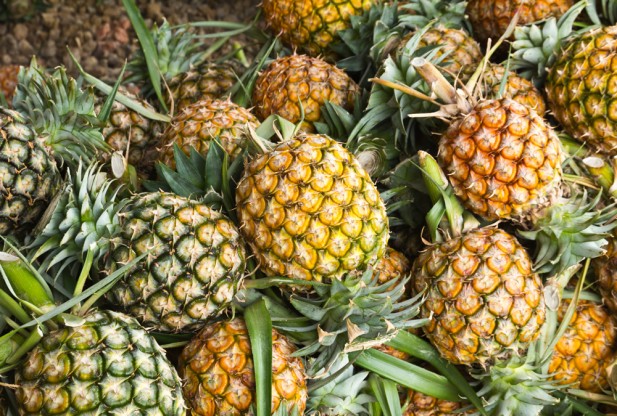 ananas ananas