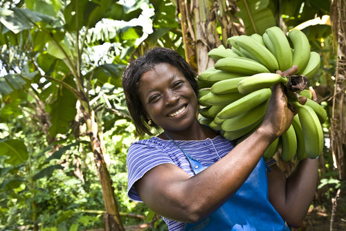 banane