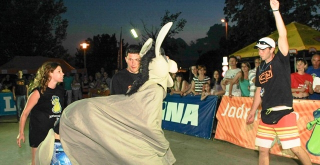 Utrka magaraca