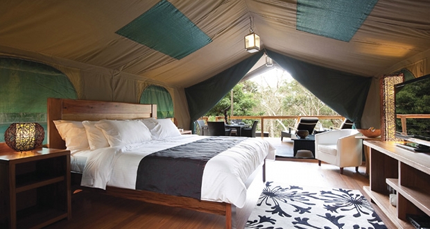 glamping (1)