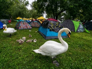kamp