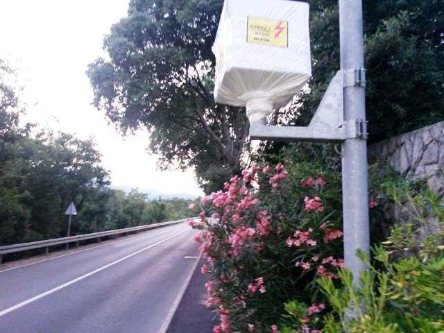 received_10153422916773582 received_10153422916773582