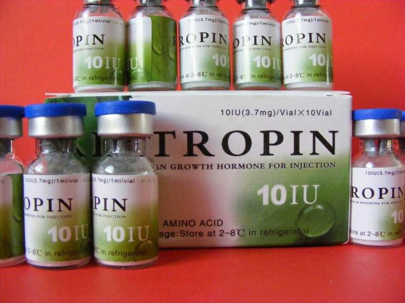 somatropin somatropin