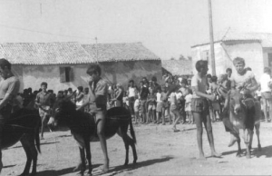 nostalg tovari