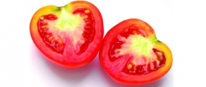 pomidor4