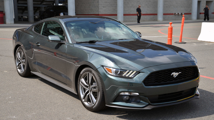 mustang