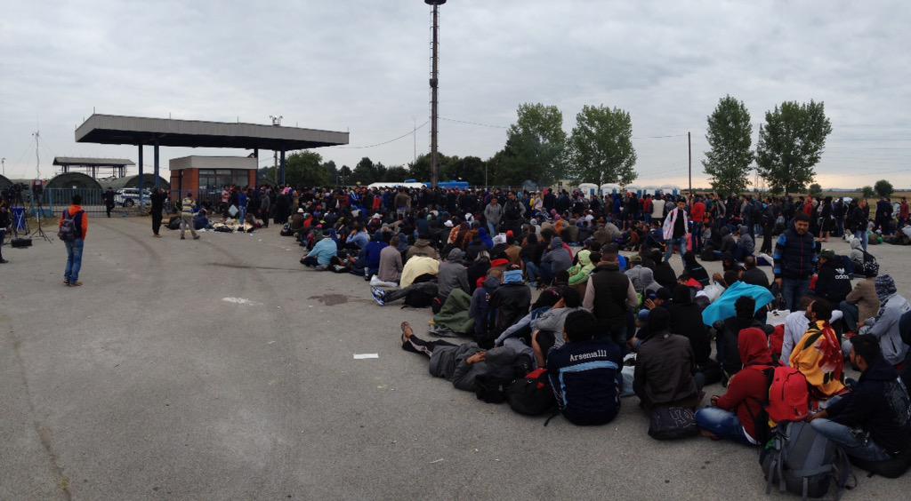 migranti c