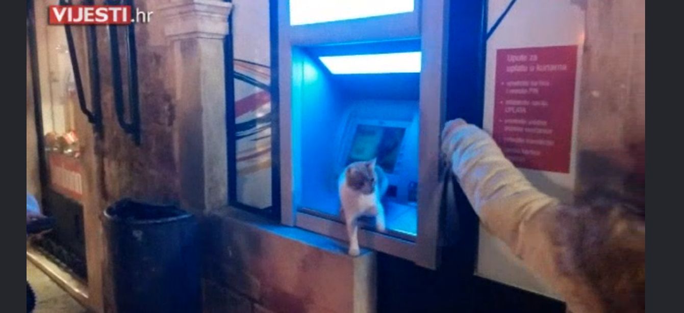 mačka bankomat mačka bankomat