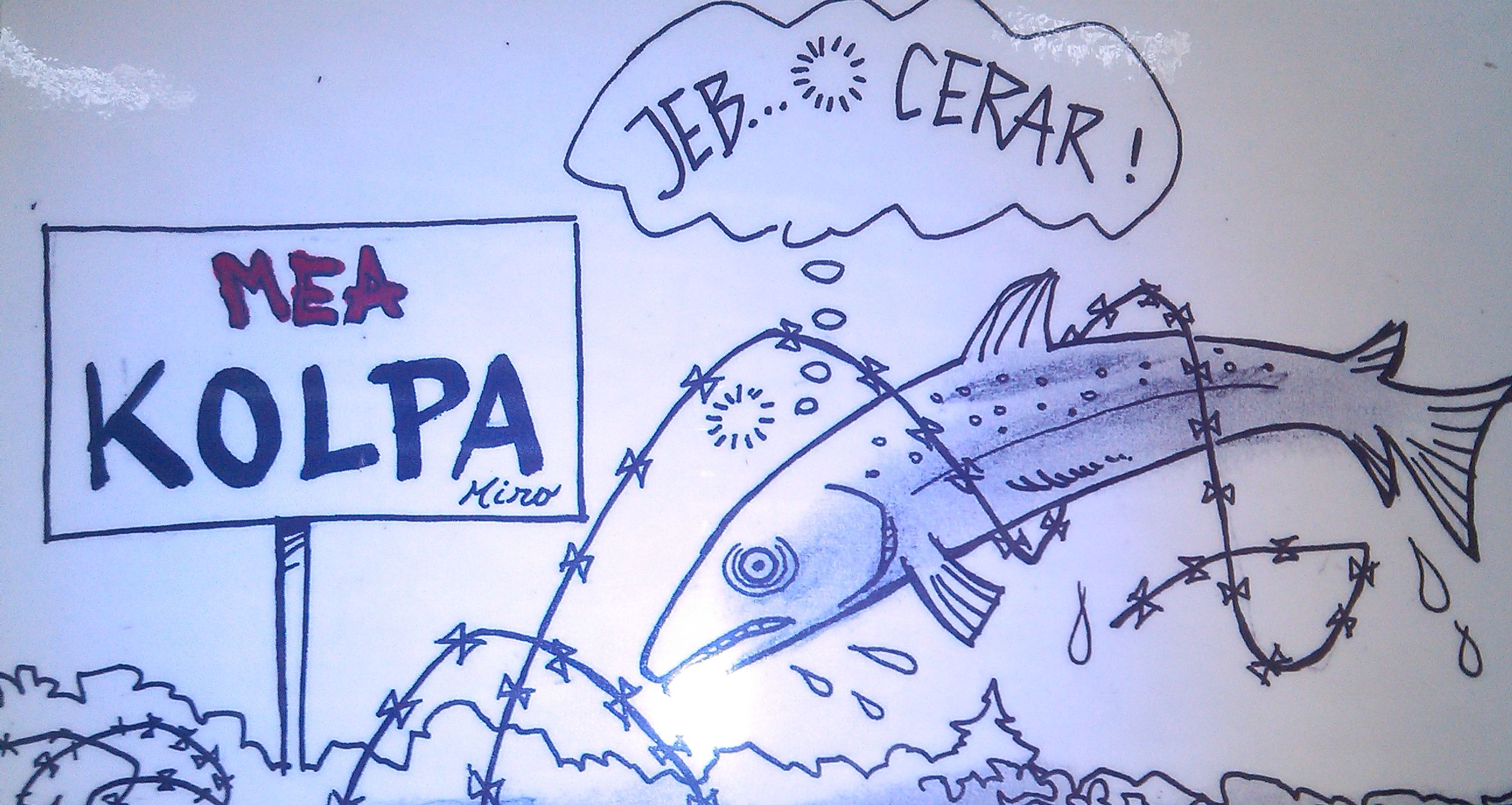 karikatura riba