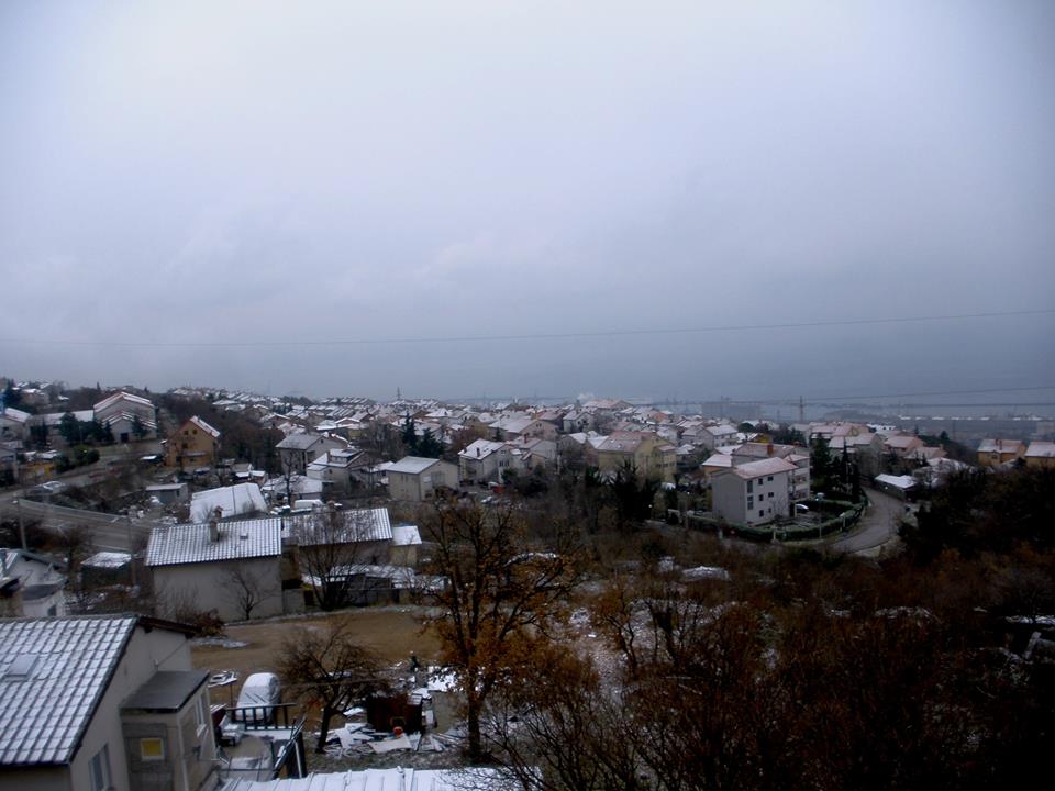 Drenova (Ada Bertić)
