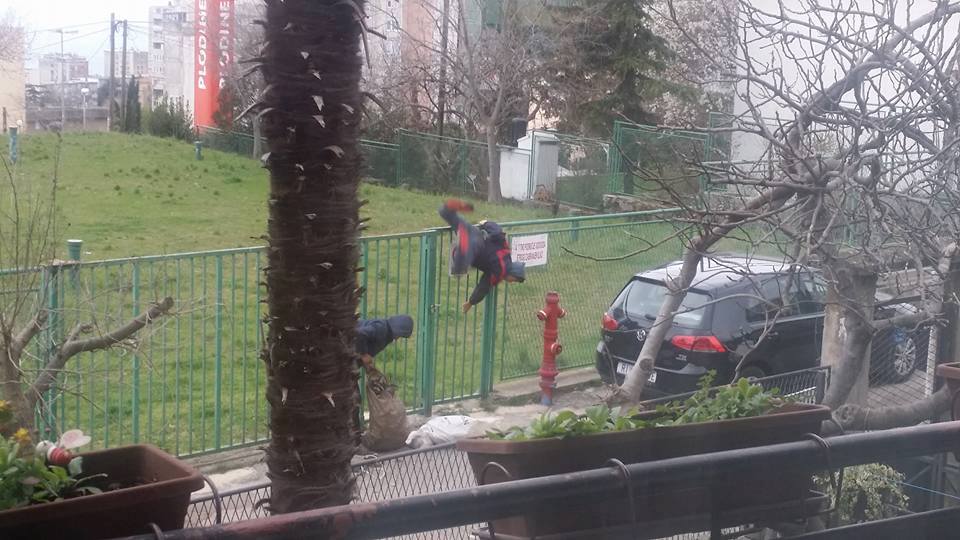krađa2 krađa2