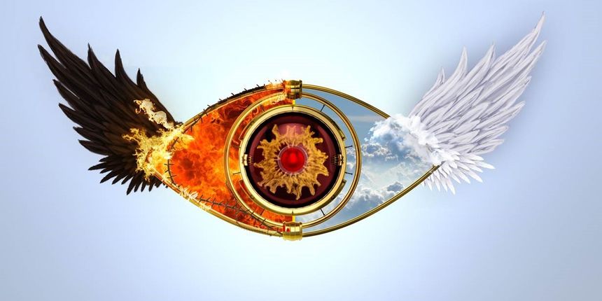 big brother novi logo