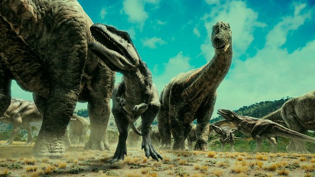 dino dino