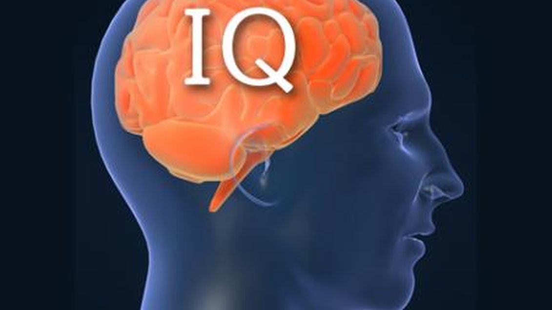 iq iq