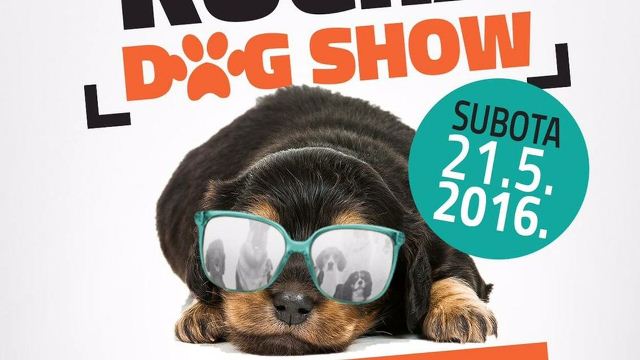 plakat KUcHA DOG SHOW (1) plakat KUcHA DOG SHOW (1)