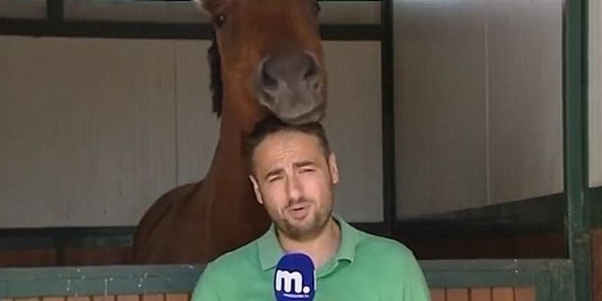 konj reporter