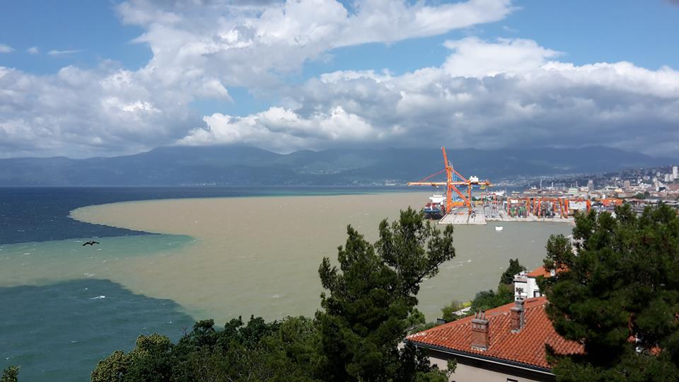 Foto: Facebook Martina Šimetić Nemrava