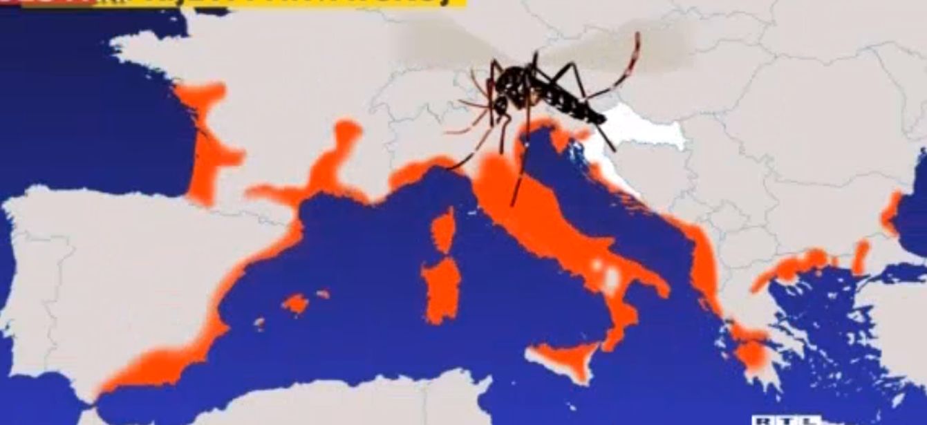 zika virus ljeto karta