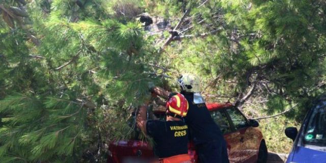 cres stablo auto cres stablo auto