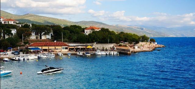 povile novi