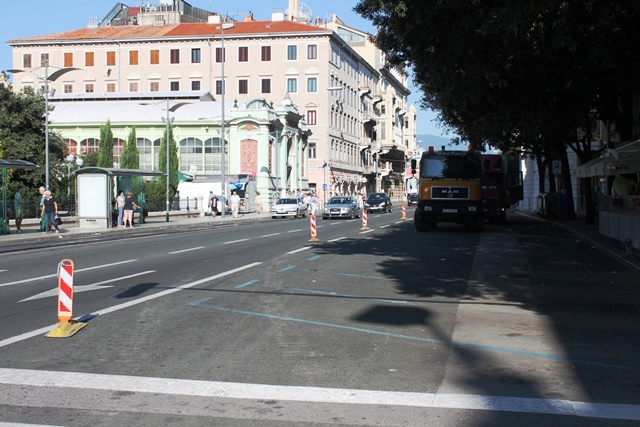 radovi zajca