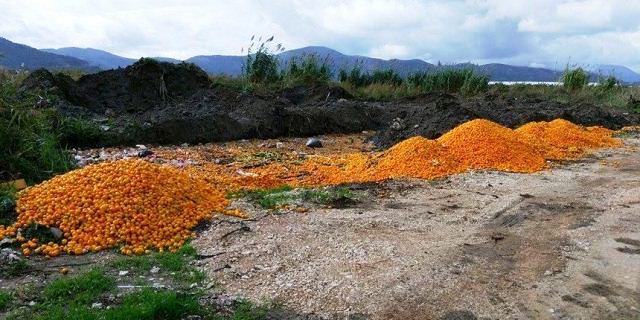 mandarine-facebook mandarine-facebook