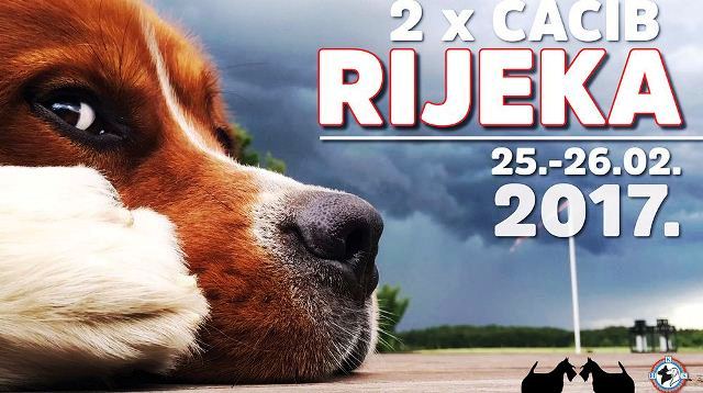 CACIB Rijeka 2017 CACIB Rijeka 2017