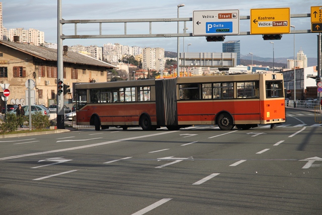 IMG_5252 IMG_5252