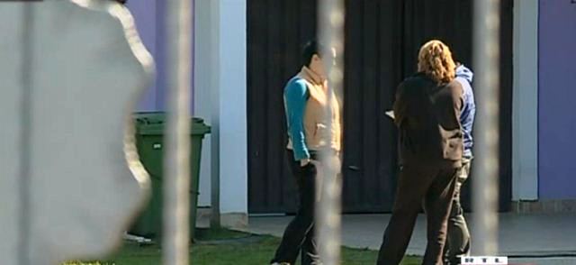 rotvajler video rotvajler video