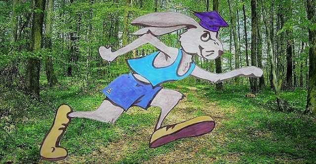 Akademski Zec Akademski Zec