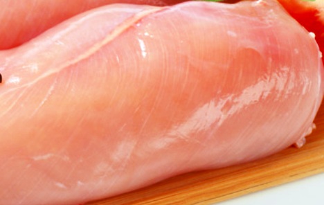 salmonela piletina