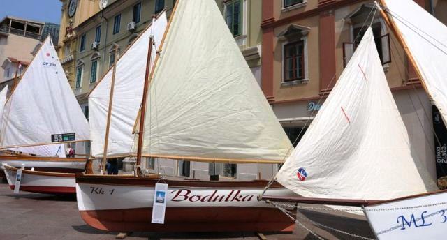 barke1