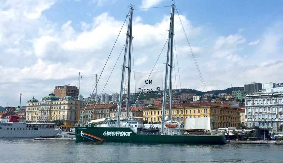 greenpeace