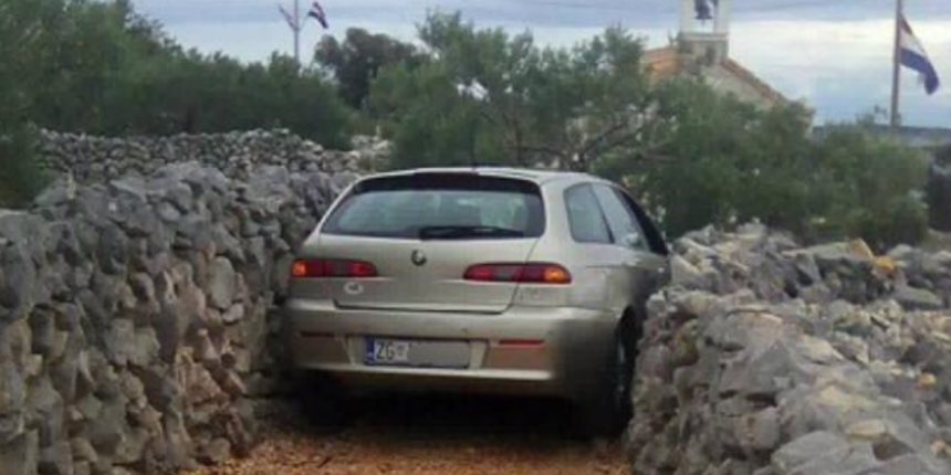 alfa tovar alfa tovar