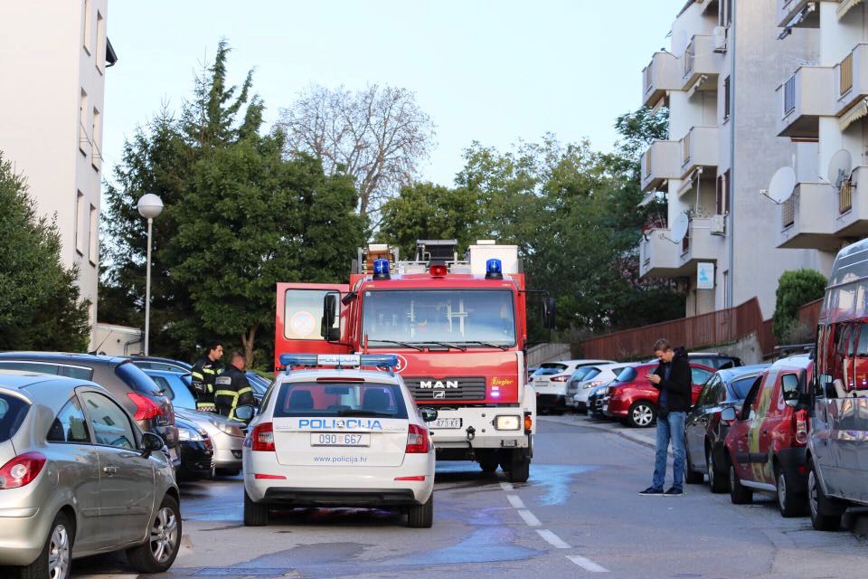 srdoči11 srdoči11