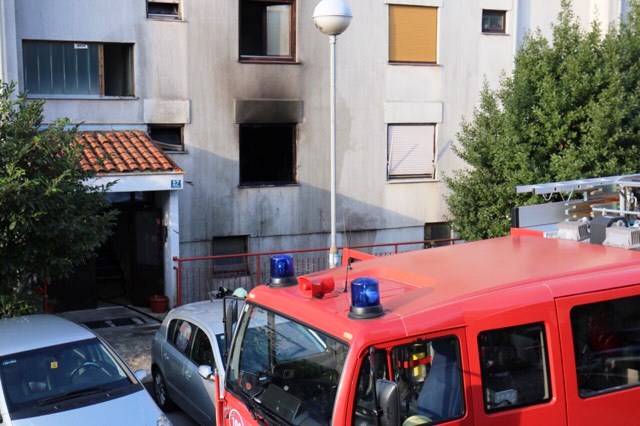 srdoči44 srdoči44