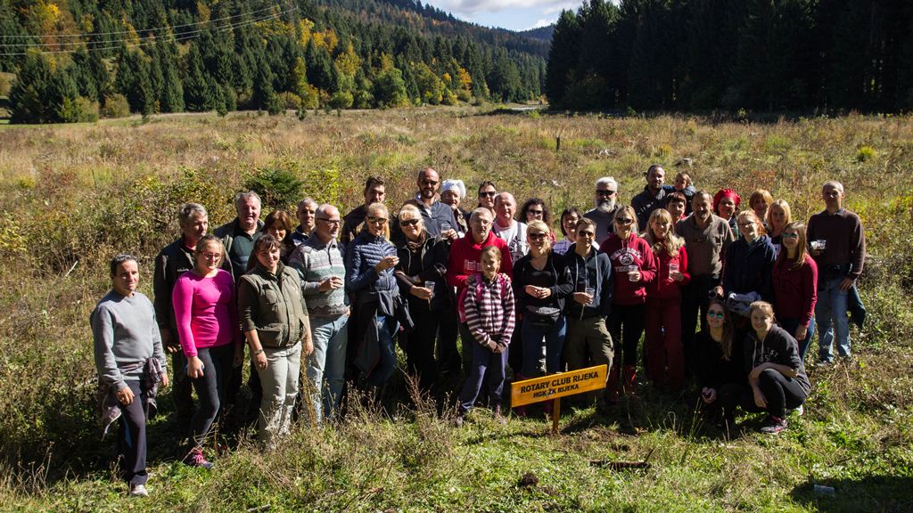 rotary pošumljavanje rotary pošumljavanje