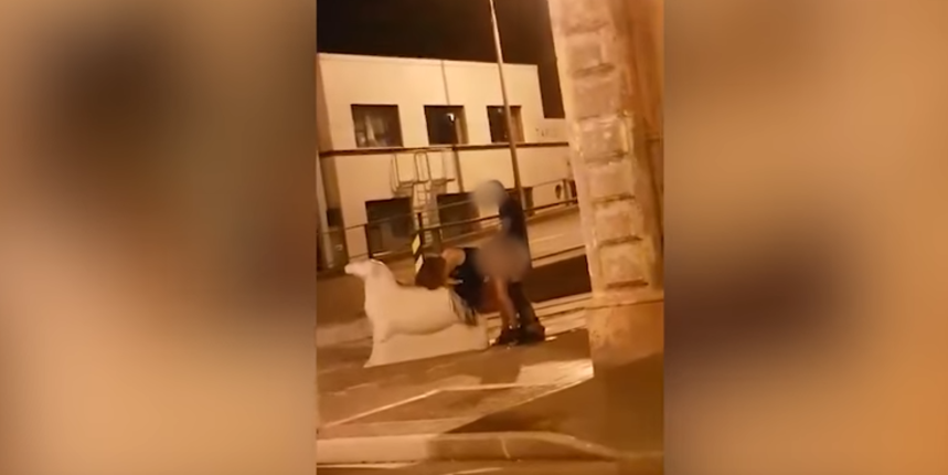 seks ulica novi zeland