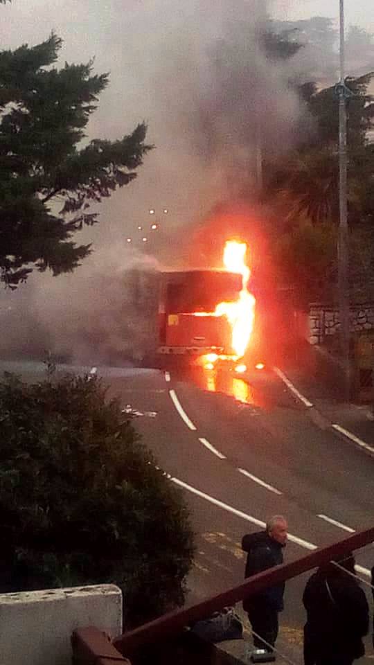 autobus gori2 autobus gori2
