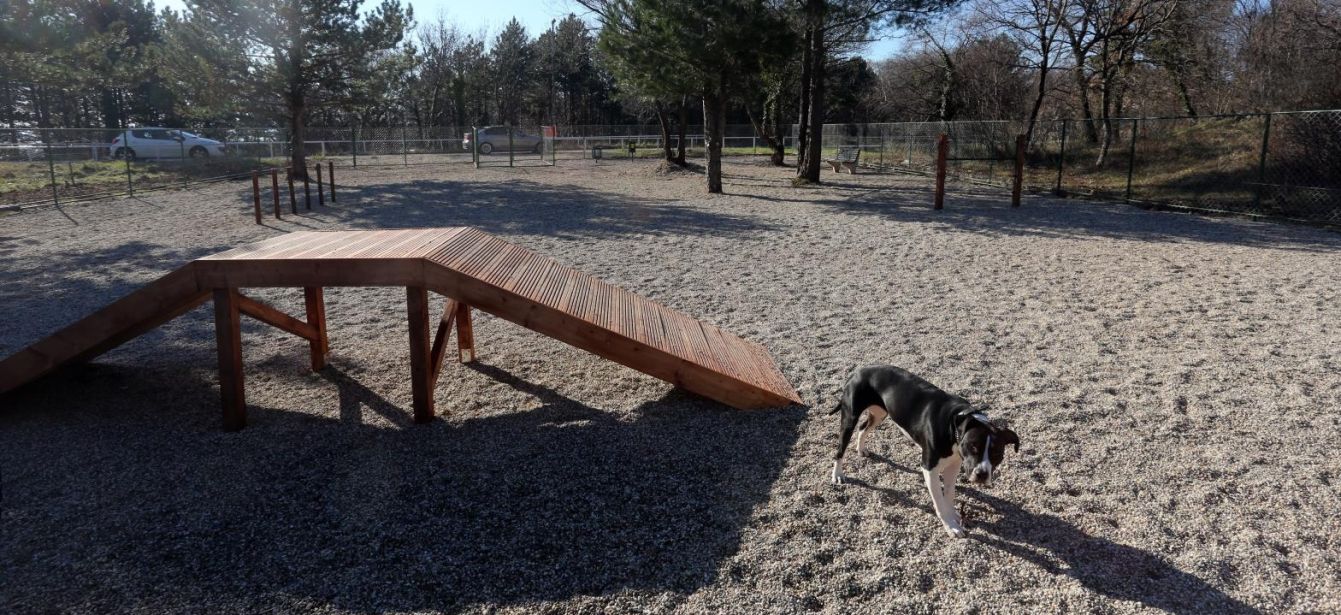 park