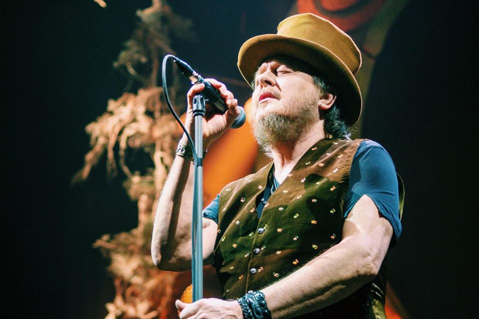 zucchero fejs zucchero fejs