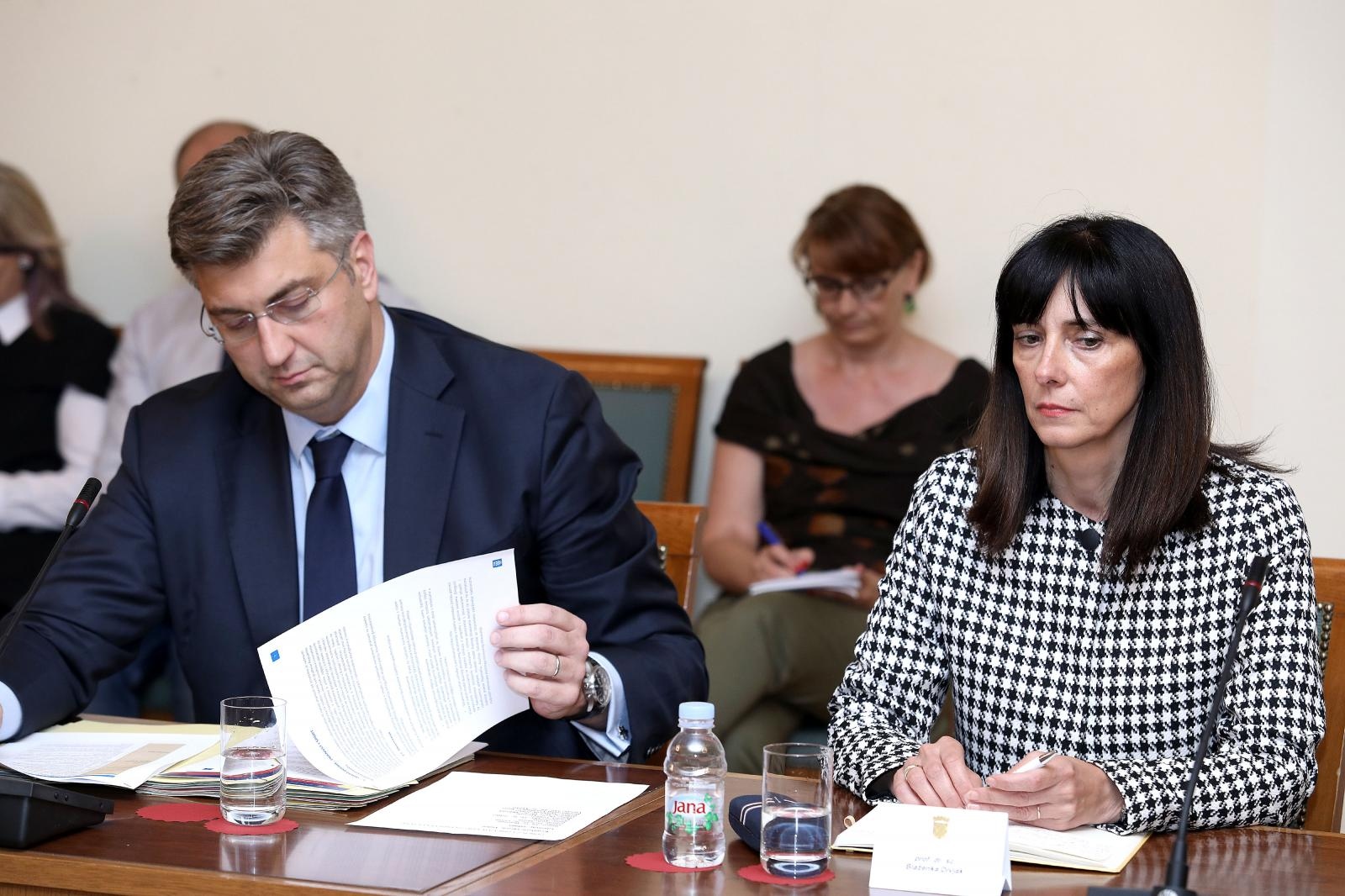 plenković divjak plenković divjak