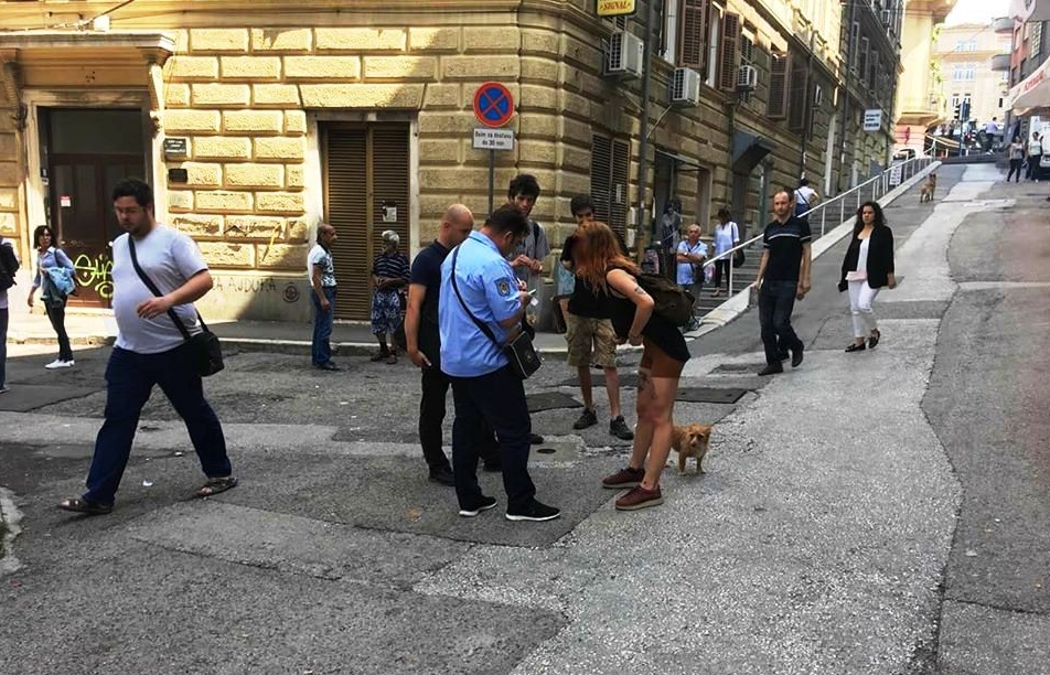 govance komunalni redar