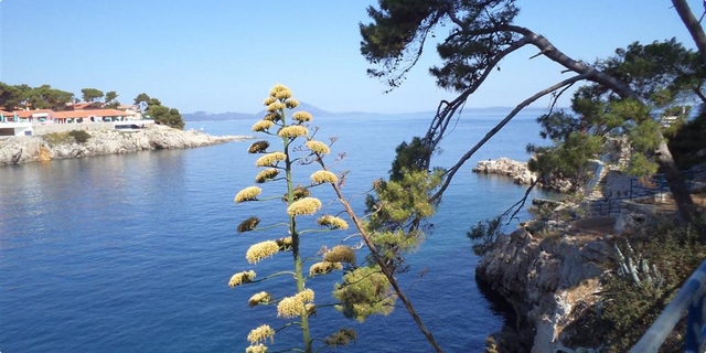 lošinj lječilište