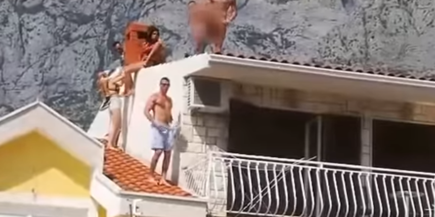 poljaci makarska turizam