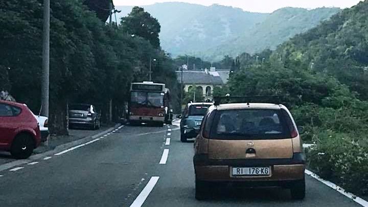 autobus orehovica dominik damiš autobus orehovica dominik damiš