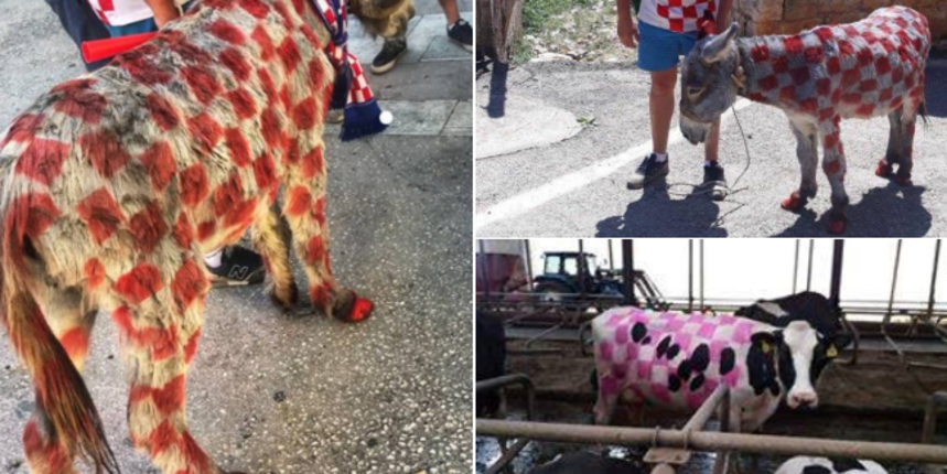 bojanje-zivotinja-1 bojanje-zivotinja-1