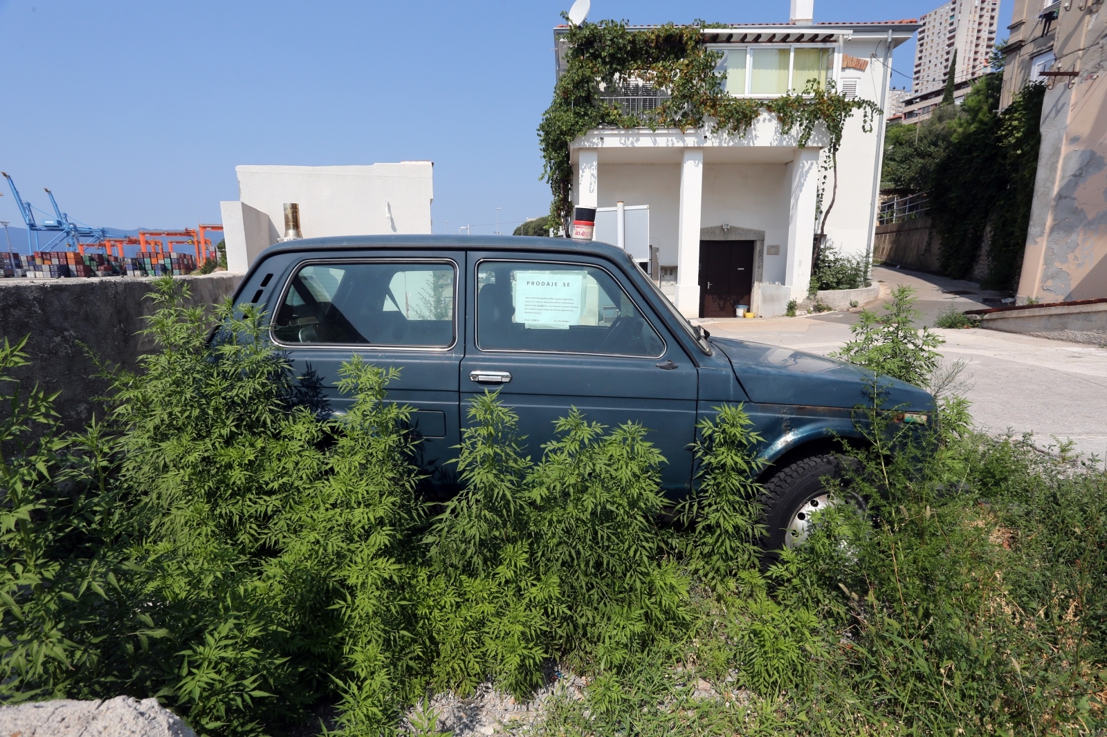 Rijeka: Automobil lada niva zarastao u ambroziju Rijeka: Automobil lada niva zarastao u ambroziju
